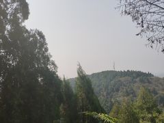 -浮来山风景区