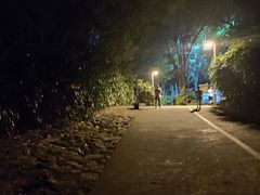 -中山公园(石岐街道)