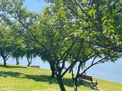 -东钱湖旅游度假区