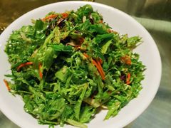 凉拌苦菊-大鹅岛绿色生态美食园
