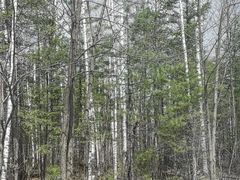 -峡谷浮石林景区