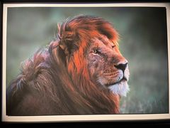 -罗红摄影艺术馆