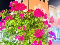 -VENCHI 闻绮(上海佛罗伦萨小镇店)