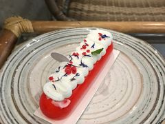 -共舞时光猫咖·狗咖(新街口店)