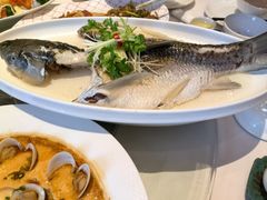 -千灯盛汇·头牌粤菜(致越优城店)