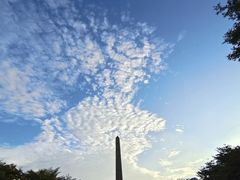 -顺德职业技术大学