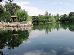 -蝴蝶泉公园