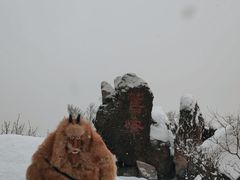 -北京鹫峰国家森林公园