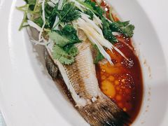 -听涛雅苑百味饺子老家菜馆