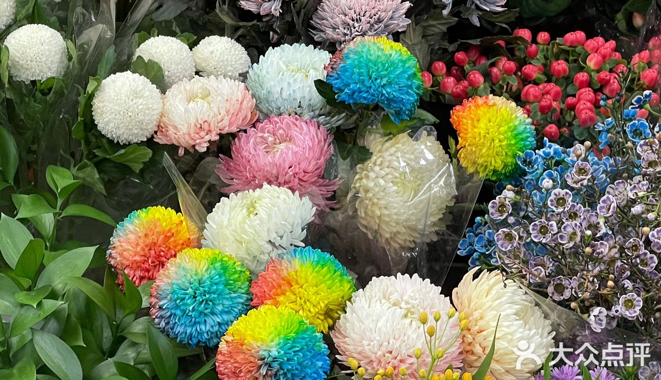 莱太花卉搬到这里的b1啦