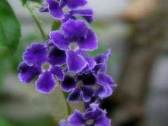 -长春公园(普阳街道)