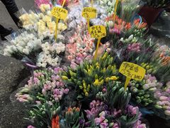 -循礼门鲜花花市(武汉循礼门店)