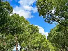 -东钱湖旅游度假区