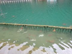 -狮子关旅游区