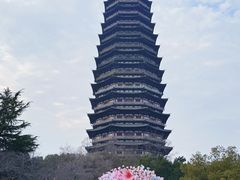 -红梅公园