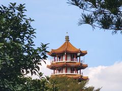 -深圳仙湖植物园