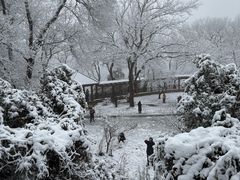 -紫金山山顶公园