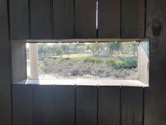 -福田红树林生态公园