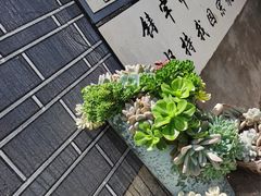 -寂照庵