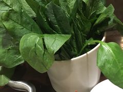 -百岁鱼(七一路店)