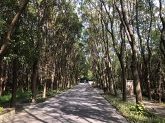 -同里国家湿地公园