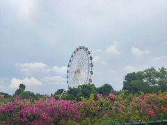 -观澜湖生态运动公社