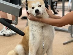 -YCHL Studios健身工作室(市二宫店)