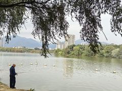 -飞来湖湿地公园