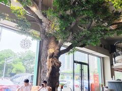 -迪欧咖啡·中西餐融合菜(平江万达旗舰店)