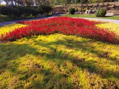 -永定河休闲森林公园