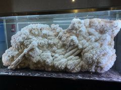 -湖南省地质博物馆