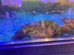 -盒马鲜生(大成店)