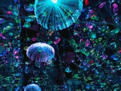 -深圳独角兽星空艺术馆