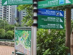 -石排湾郊野公园