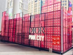 -Dior迪奥(上海世茂广场店)
