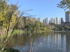 -重庆彩云湖湿地公园