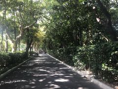 -上海市第三女子中学