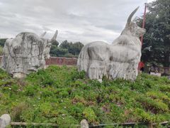-云南民族村