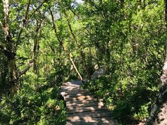 -白草畔自然风景区