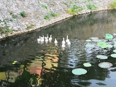 -北京天湖会议中心