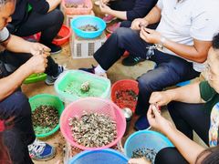 -双喜农庄·菌香园(安居家园店)