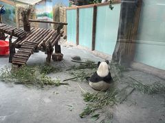 -青藏高原野生动物园