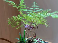 -常乐·对症推拿(世豪第30分店)