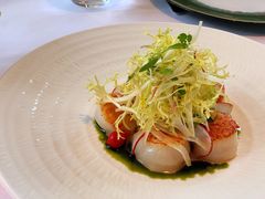 -蝶舍·MAISON PAPILLON