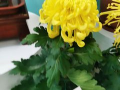 -三人行骨头王火锅(长寿店)