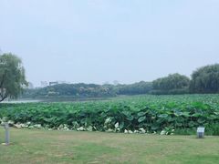 图书馆前面的镜月湖-东华大学(松江校区)