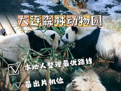 -大连森林动物园