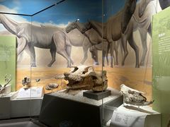 -国家自然博物馆