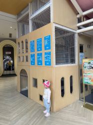 -超级奈尔宝SUPER NEOBIO(杭州星光店)