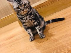 -藦茜花园宠物主题亲子互动体验馆(国顺东路店)